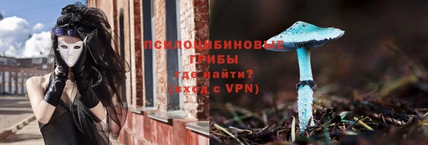 соль ск Инта