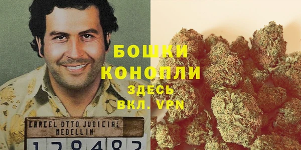 прущие грибы Инсар