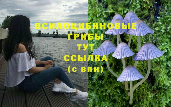 соль ск Инта
