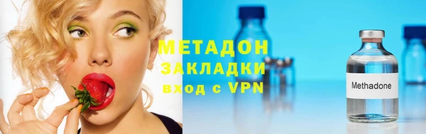 прущие грибы Инсар