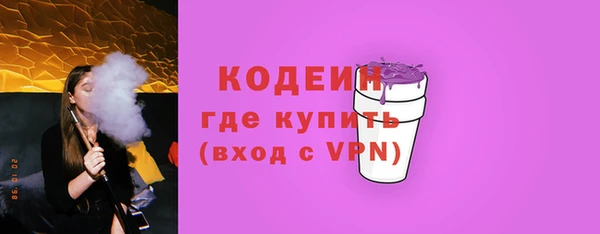 прущие грибы Инсар
