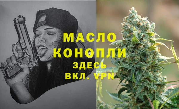 прущие грибы Инсар