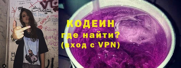 прущие грибы Инсар