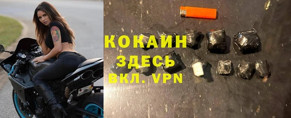 прущие грибы Инсар