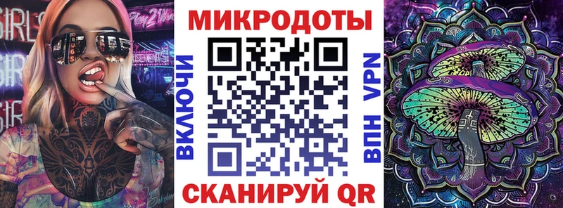 Галлюциногенные грибы Psilocybe  Злынка 
