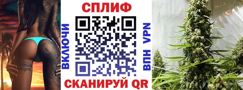 Конопля семена  наркота  Злынка 